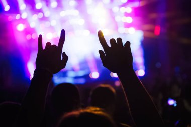 Resim Müzik Festivali'nde insanlar dans partisi