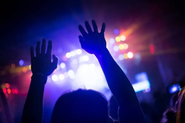 Resim Müzik Festivali'nde insanlar dans partisi