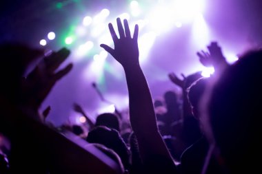 Resim Müzik Festivali'nde insanlar dans partisi