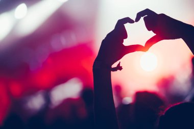 Kalabalığı eğlendirmekten elleri havada Müzik Festivali'nde zevk