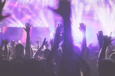 Kalabalığı eğlendirmekten elleri havada Müzik Festivali'nde zevk