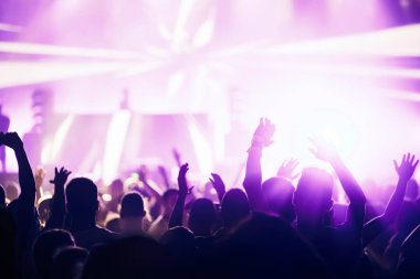Kalabalığı eğlendirmekten elleri havada Müzik Festivali'nde zevk