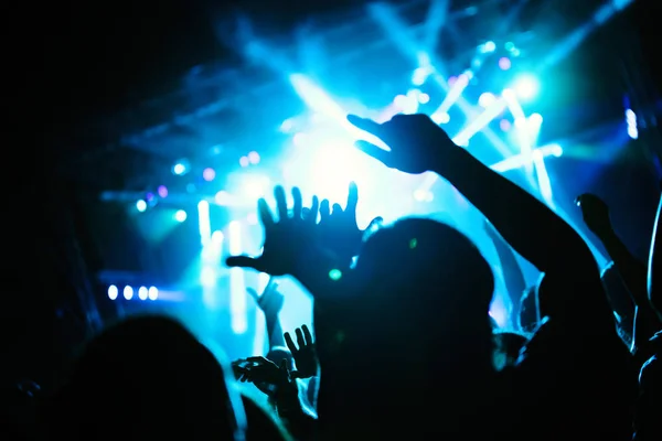 Picture of party dancing people at music festival