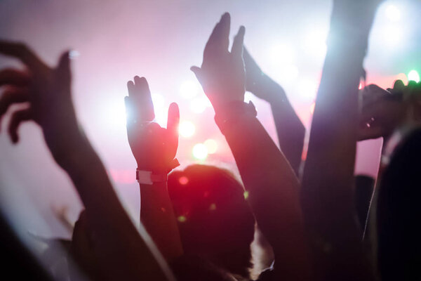 Picture of party dancing people at music festival