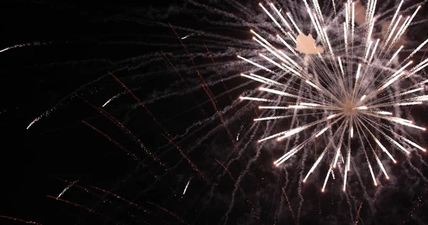 Fuegos Artificiales Celebración Fuegos Artificiales Brillantes Cielo Nocturno Los Fuegos — Foto de Stock