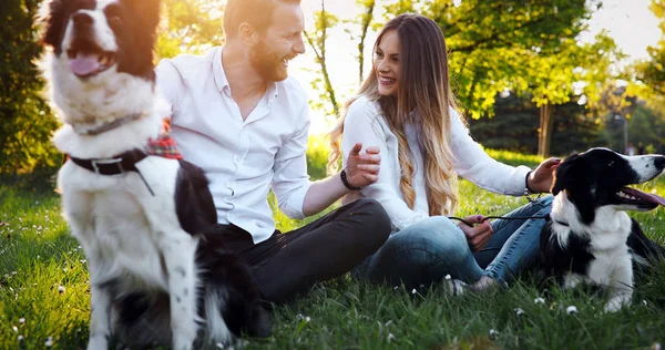 Hermosa pareja paseando perros —  Fotos de Stock