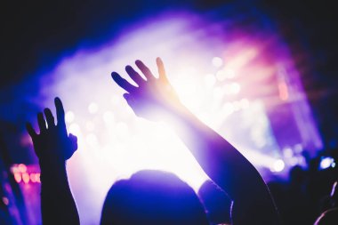 Konserde müzik performans zevk mutlu kalabalık tezahürat
