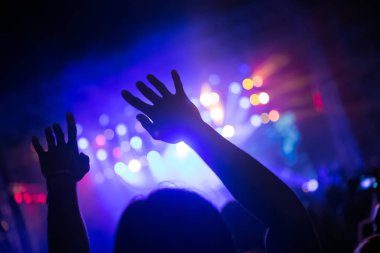 Resim Müzik Festivali'nde insanlar dans partisi