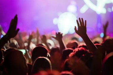 Resim Müzik Festivali'nde insanlar dans partisi
