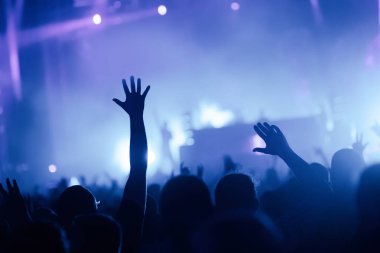 Dans eden kalabalığa müzik konser Festivali resmi