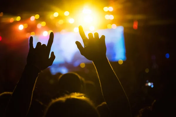 Picture of party dancing people at music festival