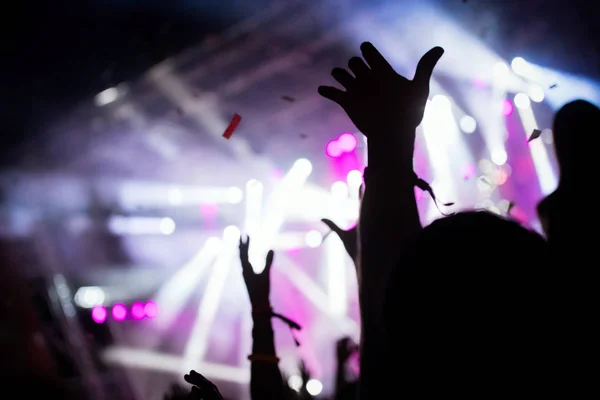 Picture of party dancing people at music festival