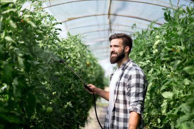 Genç çiftçi onun bitkilerin kimyasal madde ile koruma