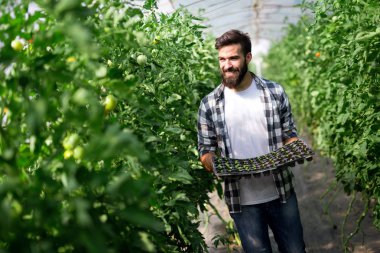 küçük genç yeşil bitki tutan genç adam. yeni yaşam konsepti