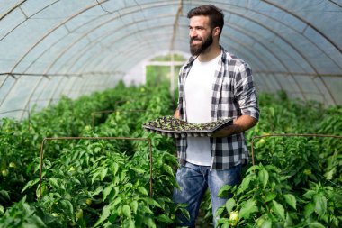 Genç adam onun sera tesisi işi