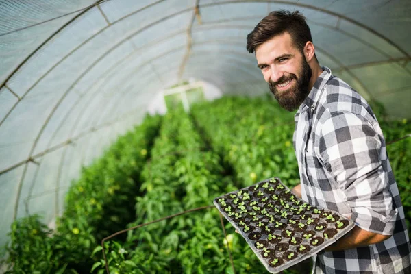 Genç adam onun sera tesisi işi