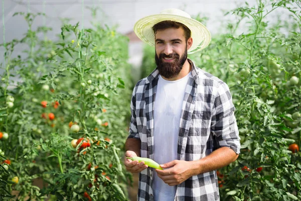 Vriendelijke Knappe Boer Aan Het Werk Kas — Stockfoto