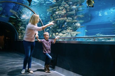 Hayran anne ve oğlu deniz yaşamını oceanarium içinde izlerken