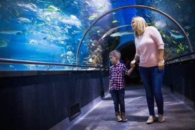 Hayran anne ve oğlu deniz yaşamını oceanarium içinde izlerken