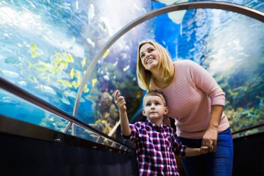 Hayran anne ve oğlu deniz yaşamını oceanarium içinde izlerken