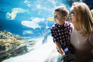 Anne ve oğlu ocenarium akvaryumda bakarak