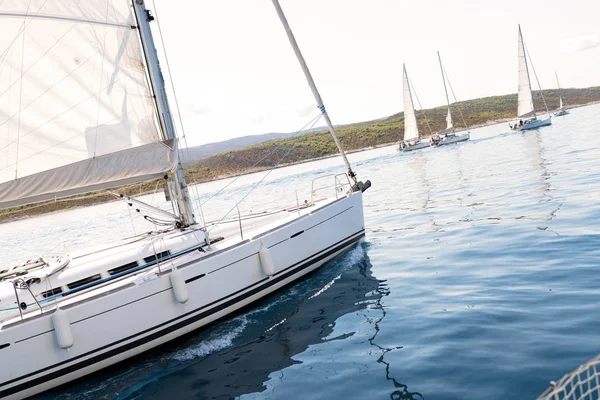 Portrait of sailing boats ships on open sea