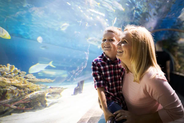 Gefascineerd Moeder Zoon Kijken Zeeleven Het Oceanário Lisboa — Stockfoto