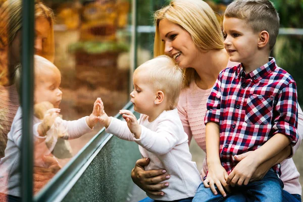 Feliz Linda Familia Mirando Pecera Acuario — Foto de Stock