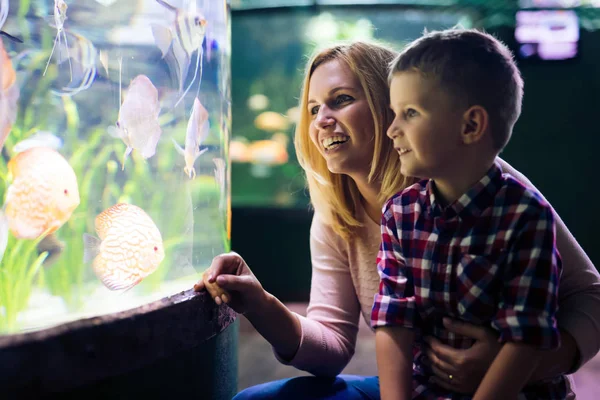 Fasciné Mère Fils Regardant Vie Marine Dans Océanarium — Photo