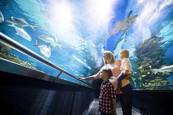 Schattig Gelukkige Familie Vissentank Het Aquarium Kijken — Stockfoto