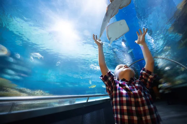 Ernstige Jongen Zoek Aquarium Met Tropische Vissen Ocenarium — Stockfoto