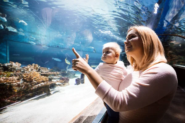 Familie Watchig Vissen Een Groot Aquarium — Stockfoto