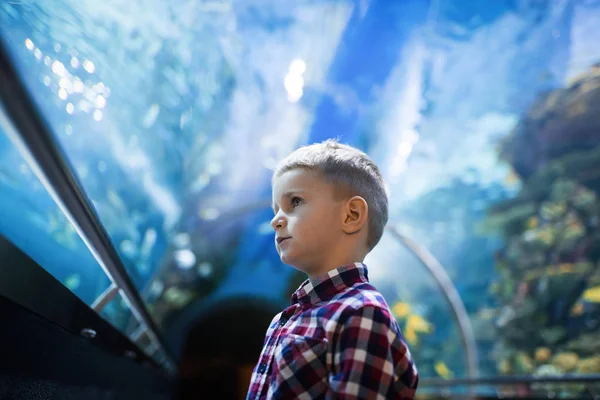 Carino Giovane Ragazzo Guarda Pesci Acquario — Foto Stock