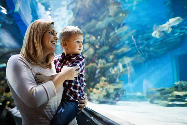 Gefascineerd Moeder Zoon Kijken Zeeleven Het Oceanário Lisboa — Stockfoto