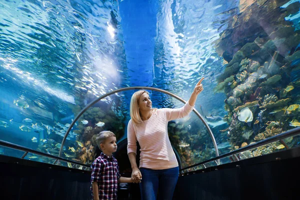 Gefascineerd Moeder Zoon Kijken Zeeleven Het Oceanário Lisboa — Stockfoto