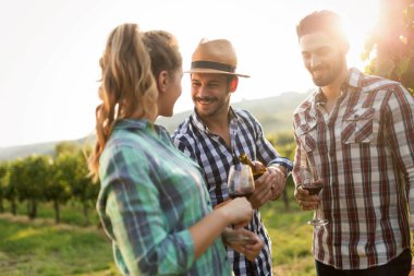Şarap üreticileri üzüm bağlarında üzüm topluyor.