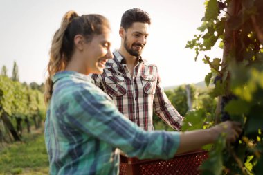 Hasattan önce bağda romantik bir çift.