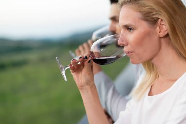 Winegrowers bağ örnekleme ve tatma şaraplar insanlar