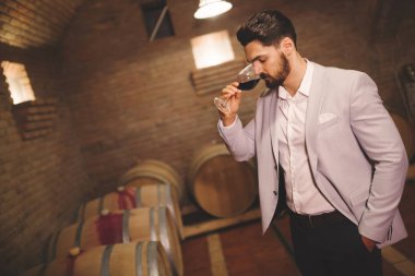 Şarap üreticisi şarap şaraphane bodrum katında test