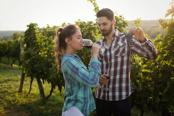 Romantisch Paar Wijngaard Voor Het Oogsten — Stockfoto