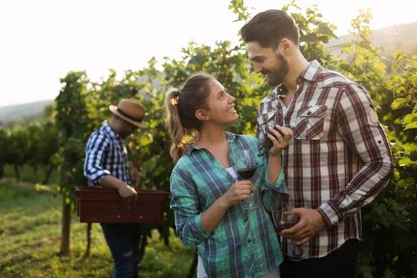 Winzer Und Menschen Weinberg — Stockfoto