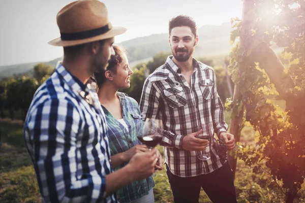 Winzer Und Menschen Weinberg — Stockfoto