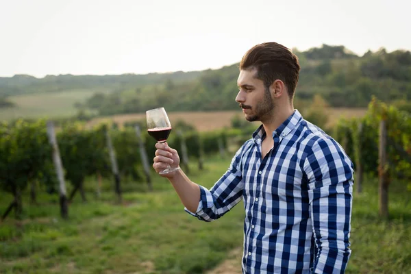 Mutlu winegrower yaz aylarında üzüm şarap tadımı