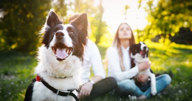 Güzel çift yürüyüş köpekler 