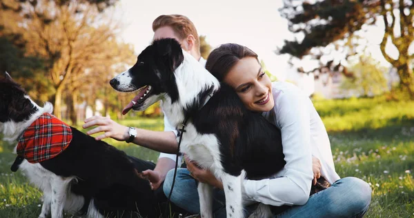 Bella coppia cani da passeggio — Foto Stock