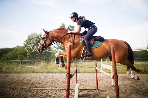 Jovem Jóquei Feminino Seu Cavalo Pulando Sobre Obstáculo — Fotografia de Stock