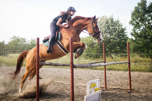 Jonge Vrouwelijke Jockey Haar Paard Springen Hindernis — Stockfoto