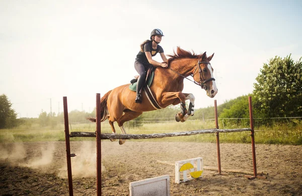 Jeune Femme Jockey Sur Son Cheval Bondissant Sur Obstacle — Photo