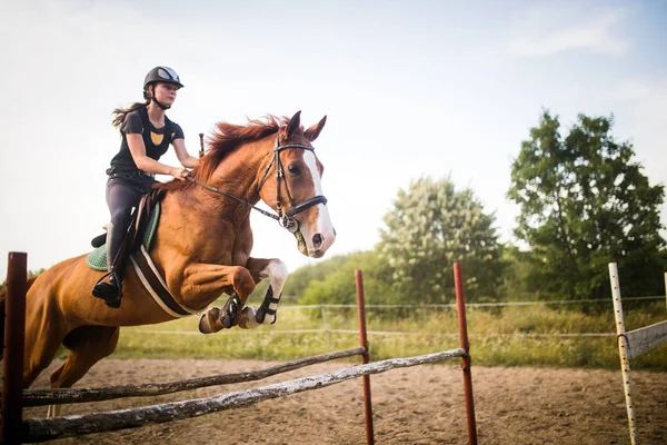 Jeune Femme Jockey Sur Son Cheval Bondissant Sur Obstacle — Photo