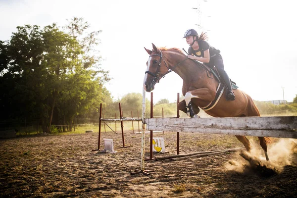 Αναβάτης Νέων Γυναικών Σχετικά Άλογο Πηδώντας Πάνω Από Εμπόδιο — Φωτογραφία Αρχείου